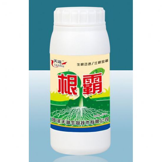點(diǎn)擊查看詳細(xì)信息<br>標(biāo)題：根霸 閱讀次數(shù)：4351
