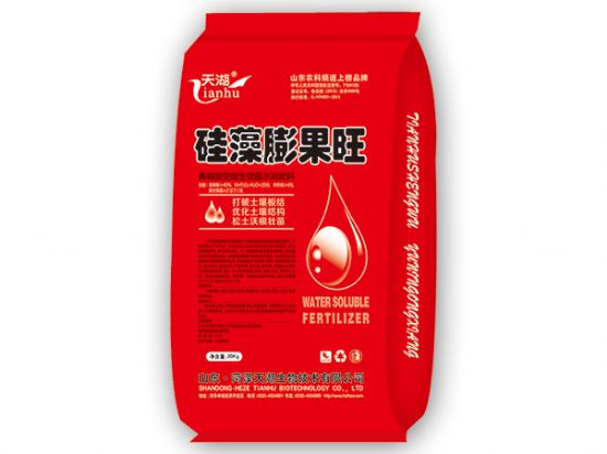 點(diǎn)擊查看詳細(xì)信息<br>標(biāo)題：硅藻膨果旺 閱讀次數(shù)：2613